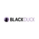 Black Duck - ICORE